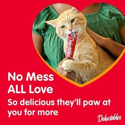 Squeeze Up Interactive Lickable Wet Cat Treats